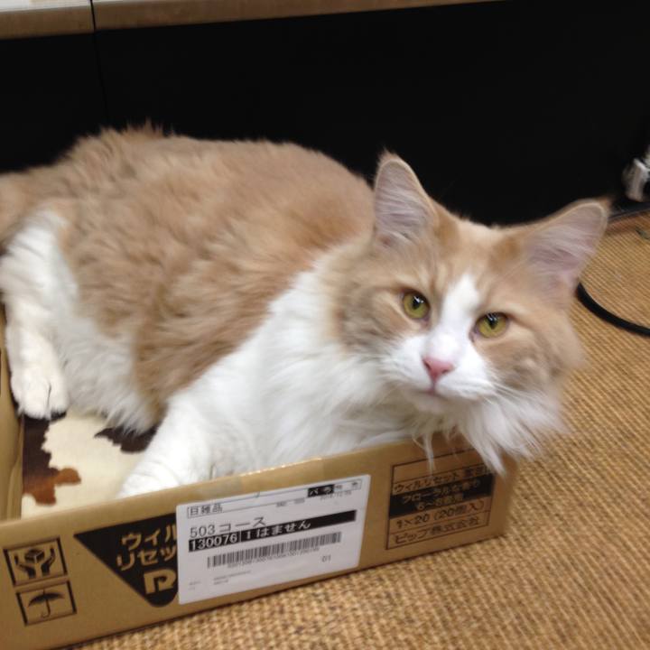 47b8aae0 1f07 4c54 a74b 2a1c1c71a569