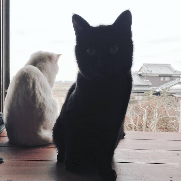 47b8ce7f 0967 4633 b502 3a5d00476d23