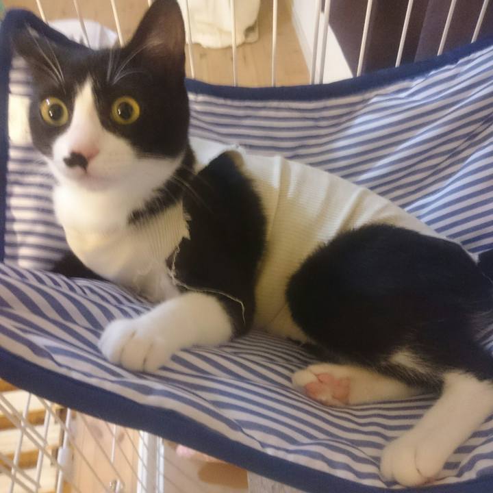 47b8fe61 471c 4024 9ef5 16d2c2a7e67d