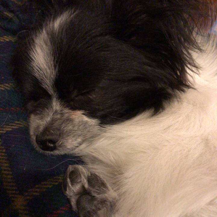 47b9430f fdd7 4996 b9ec 4b75df1c57cd