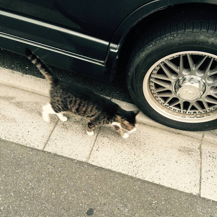 47b95f68 c3e4 4944 bfc0 ae53f9350d40