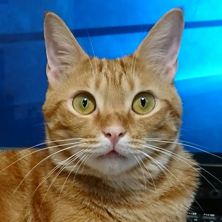 47b9eeed b5ad 4324 ab89 ac4c641758e6