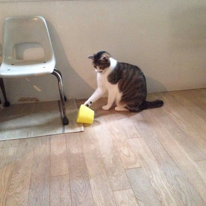 47ba7da2 6a9f 4666 bbb4 46ddcff50c64