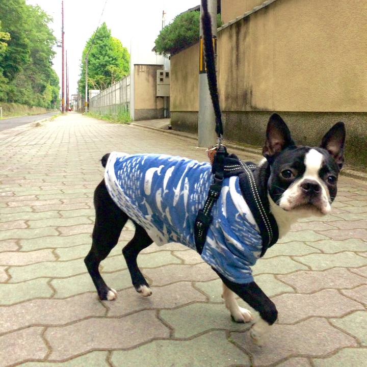 47ba9a8b 9db1 42db 804a 15bbe4742b0f