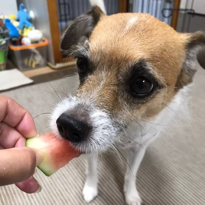 47bb042f 90db 4634 85e1 3c1e9c76d116