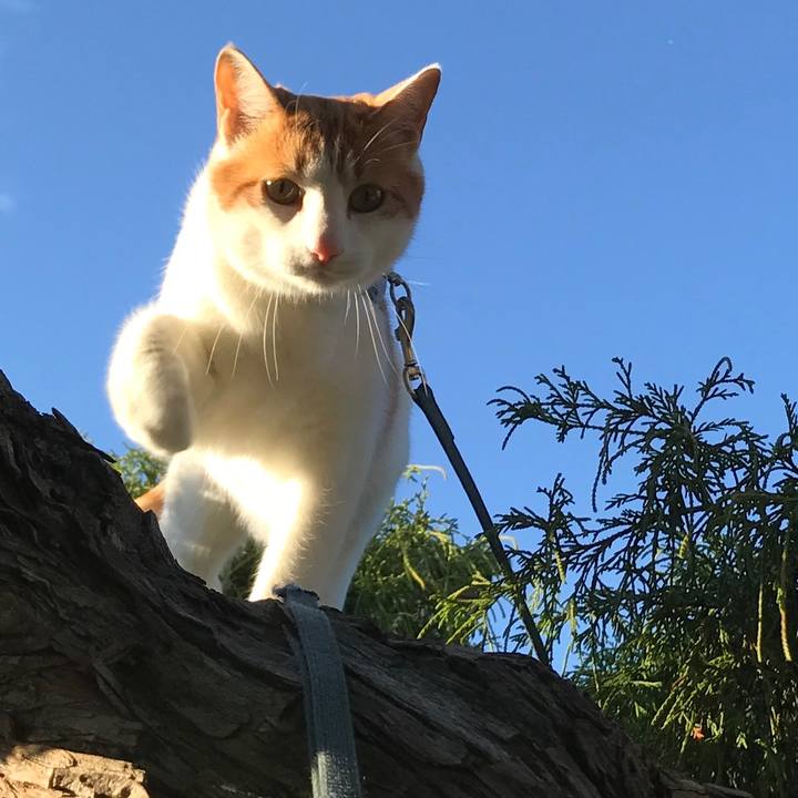 47bbd90a ad07 4322 9e67 17b021417f88