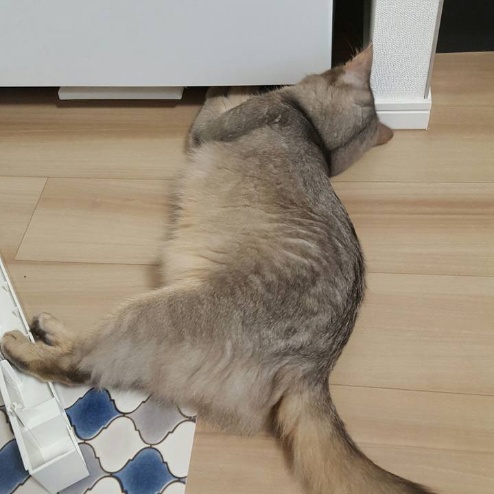 47bbfedb 7256 4308 86f4 601da3a149d5