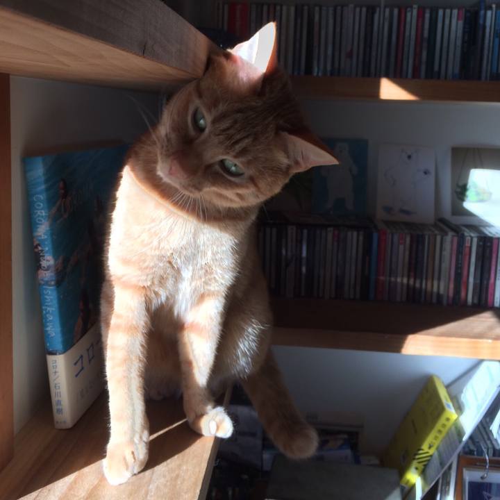 47bcb52b 0283 4f2c 9736 95f6da0dd81b