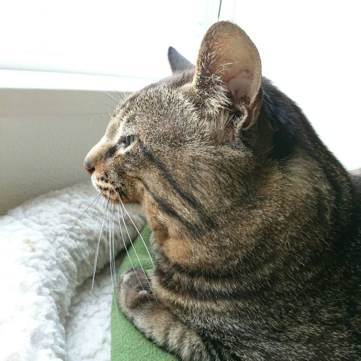 47bcc107 5c88 49c4 b7f5 c6300029b8a6