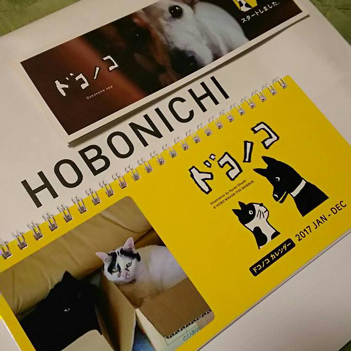 47bd3e7f f82e 4c2a b782 5497270846d6