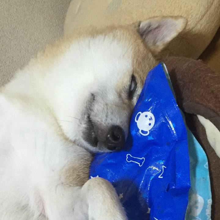 47bd4528 89d5 41b2 b663 5c58825b6b78