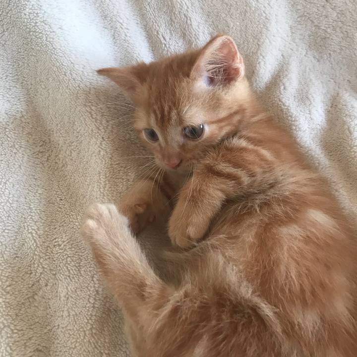 47bd7b07 a3a0 4cdb b1f7 07cc23a240fe