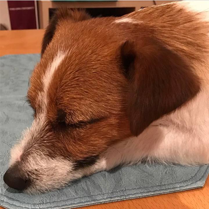 47bdceef e3d7 42e5 af82 3132bfa7c125