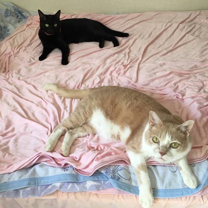 47bde4eb df69 4ab1 a4ff 078dec3ca517