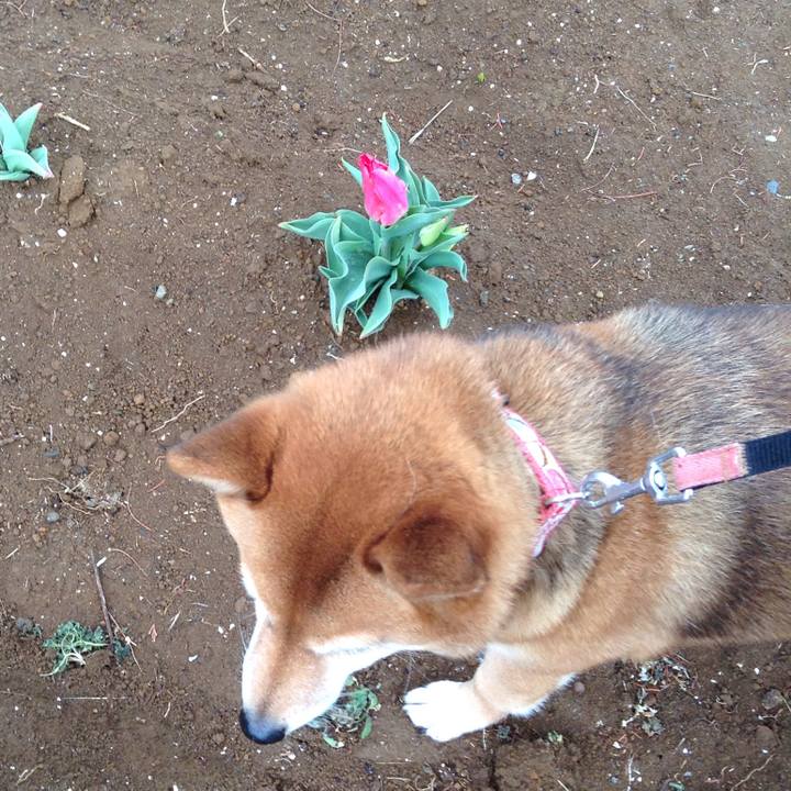 47be0312 42be 4430 a1a9 71f487cbda95