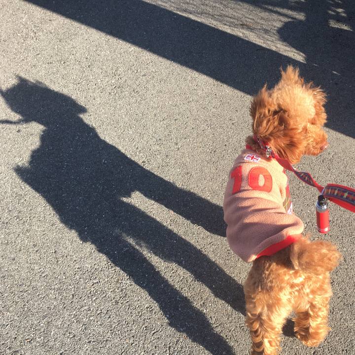 47befe1e 84dd 40e5 b784 4959131ae21a