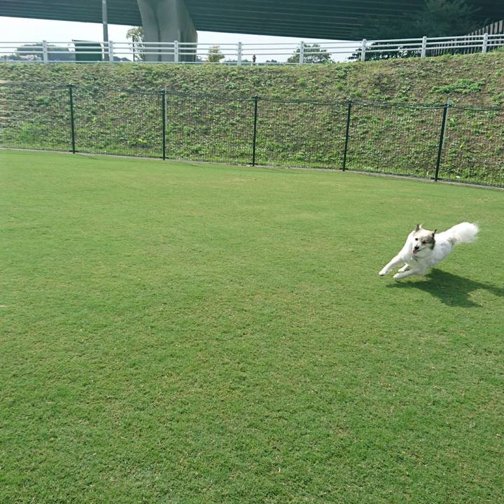 47bf1c32 7f73 484d 9b13 54e34e348863