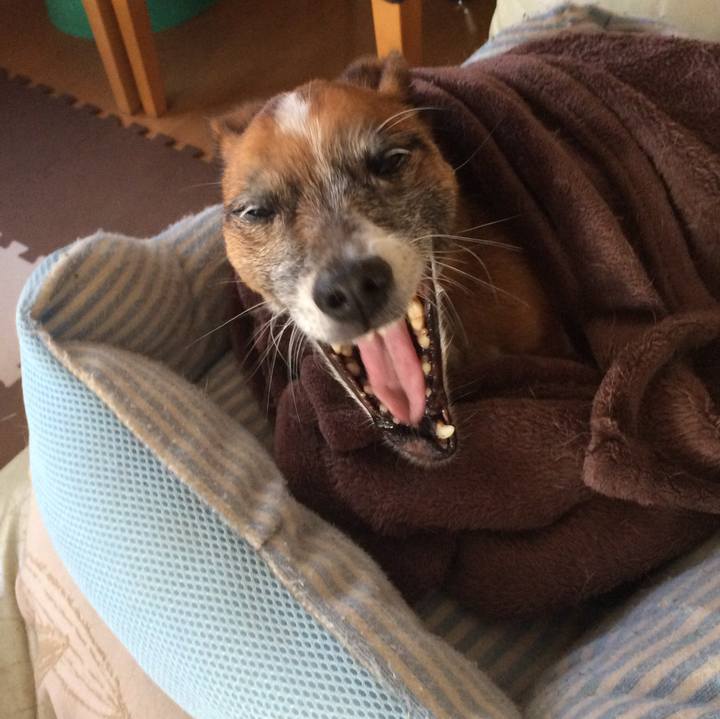 47bfc638 0a90 425d bee7 3de00a89bd30