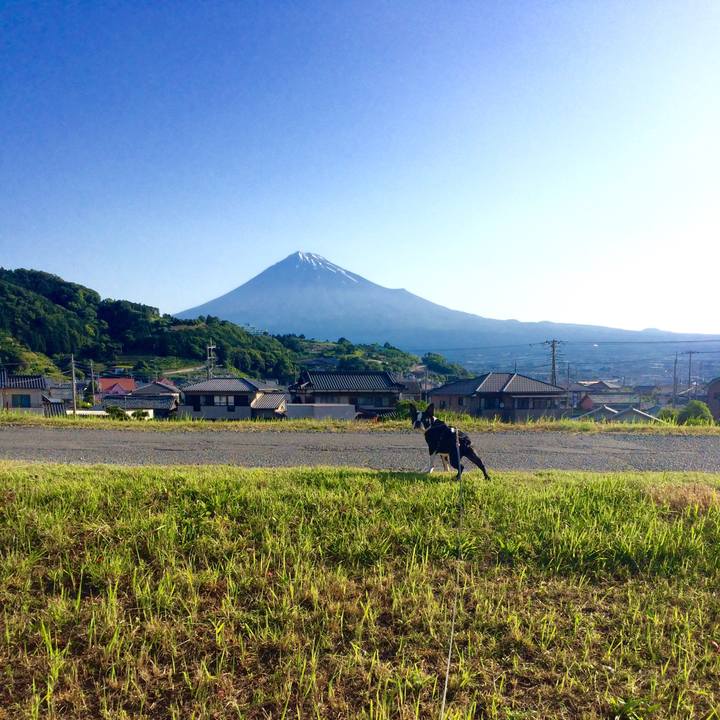 47bfd14d b43c 404f b1e1 1108b381d085