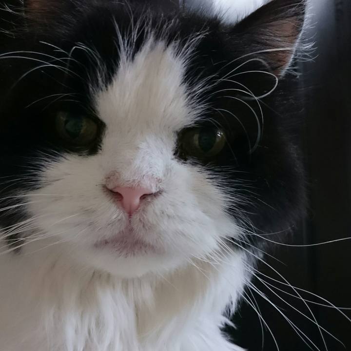 47bfd327 61e4 4f4e bccf 6fc490dea828