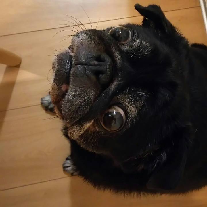 47c146da 3b7e 4687 a14f 956d257bbf03