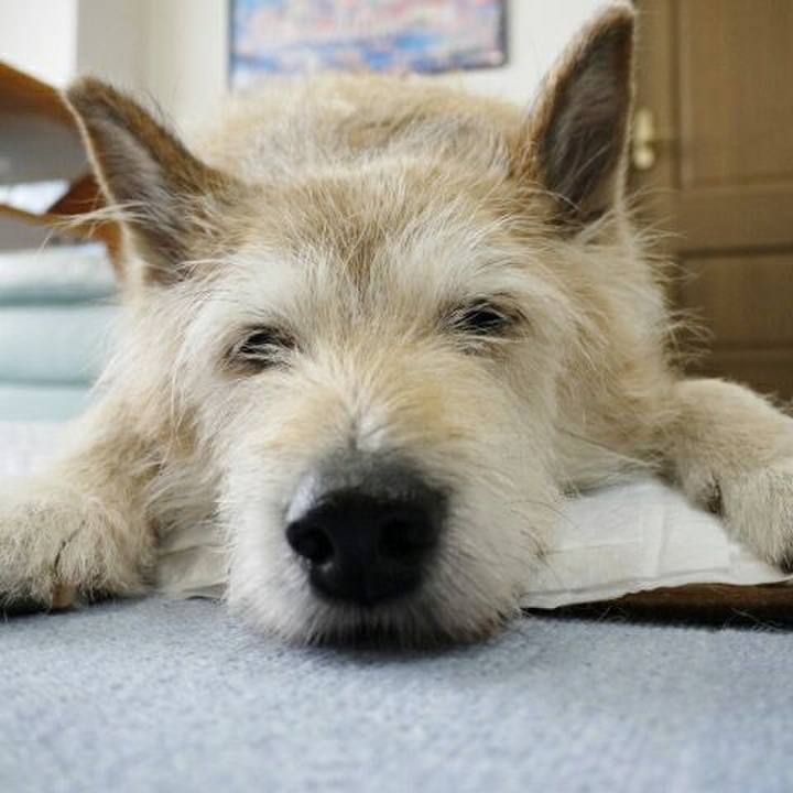 47c1e49a a956 4c06 a816 750bb47c8d8d