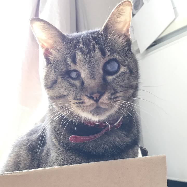 47c2ab13 6d25 4ecc 8fff cb9785418906