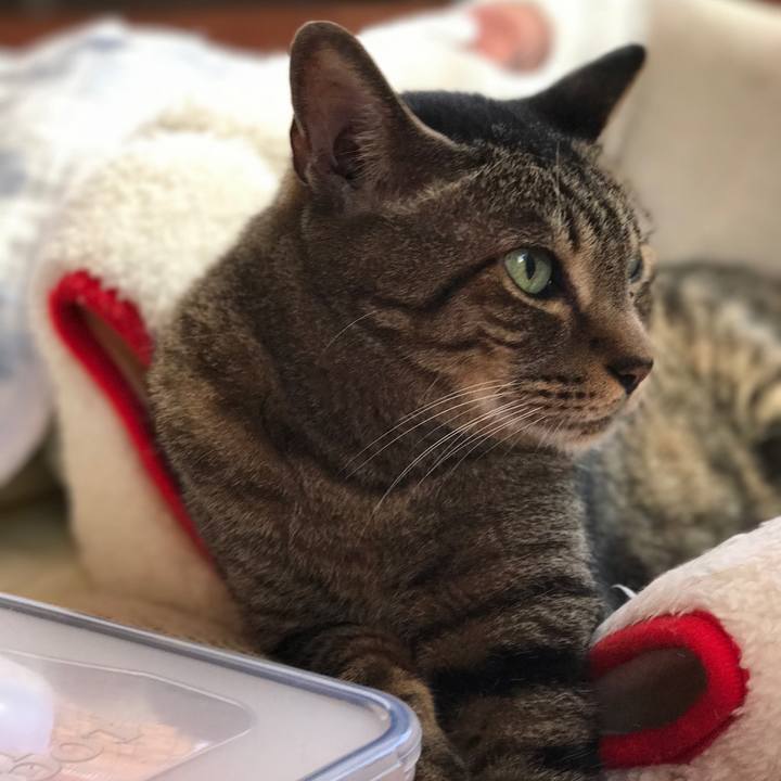 47c3f9f8 bdbf 44fe ace9 1abe0ab74337