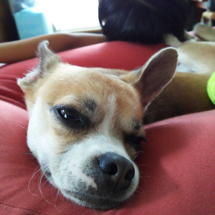 47c47b8c c846 43fb 8f18 513a6678053c