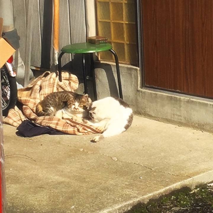 47c4e579 b189 40a4 83ca 141a793f3fdf