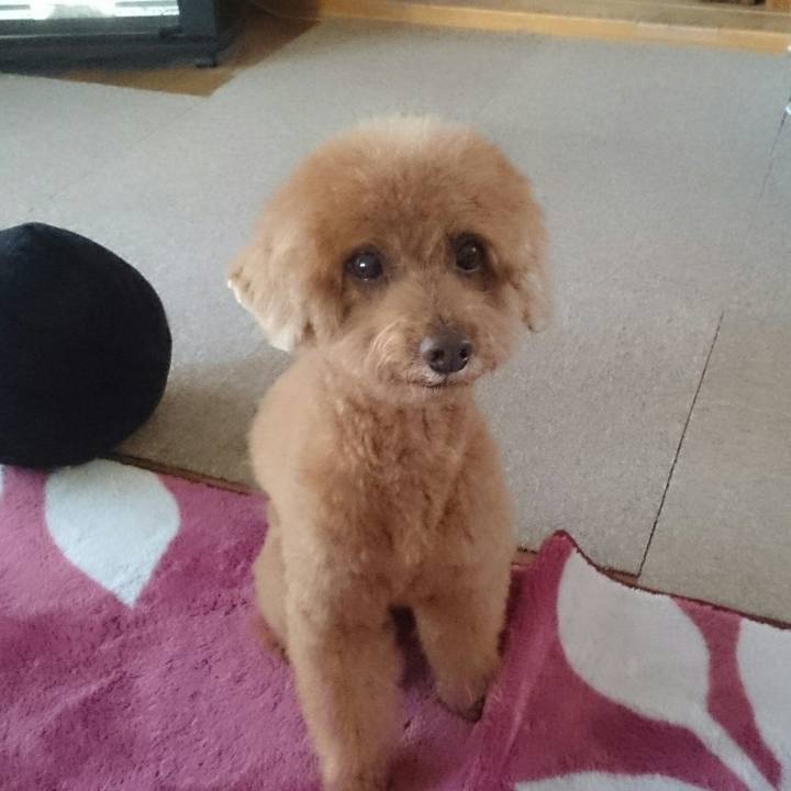 47c545a2 38cd 4f9d b234 c60f0abe01e2