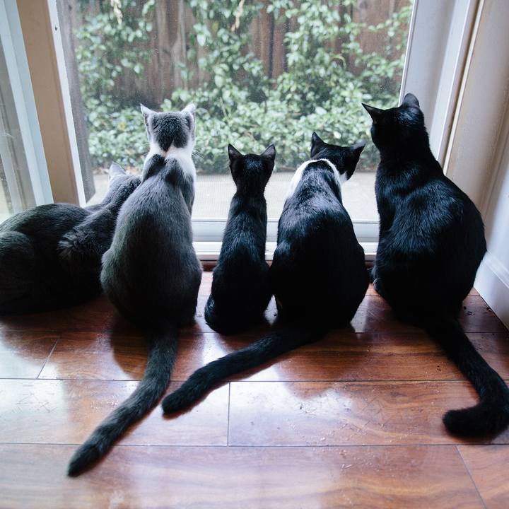 47c54bb6 0dd7 483a 9f7d ecbeb76d4dd4