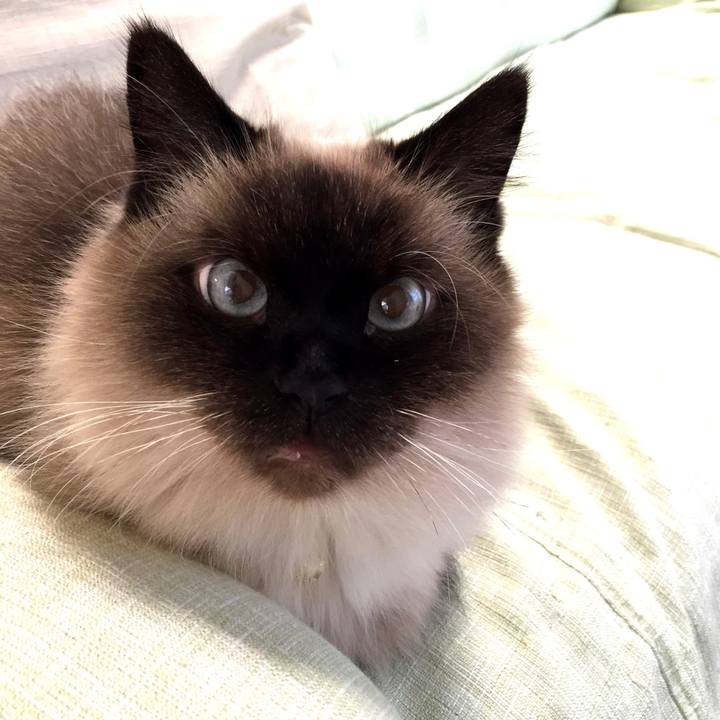 47c5bf86 c7c4 4de5 b19d eb587947def4