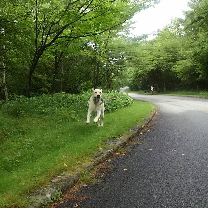 47c5d784 94c1 4019 b7ca c2e02e0f7cf7