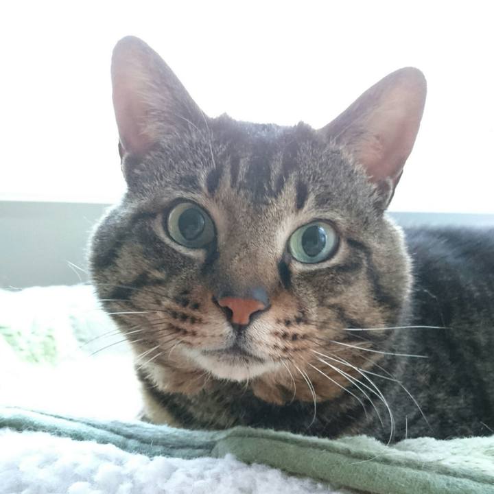 47c5e87d bc0f 48c0 8994 e119645de593