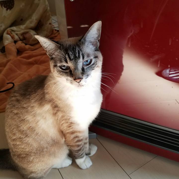 47c67258 8a70 4a1f 8125 d89cfb760962