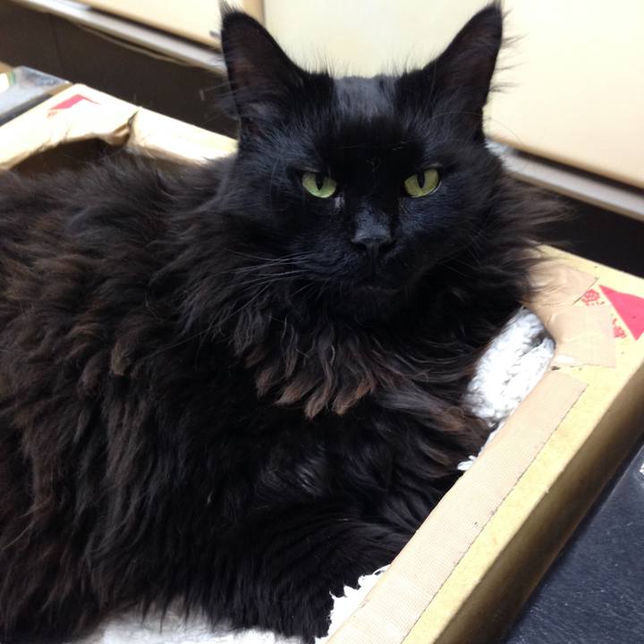 47c77262 bc43 4a03 b77a 8a8dfbdf6477