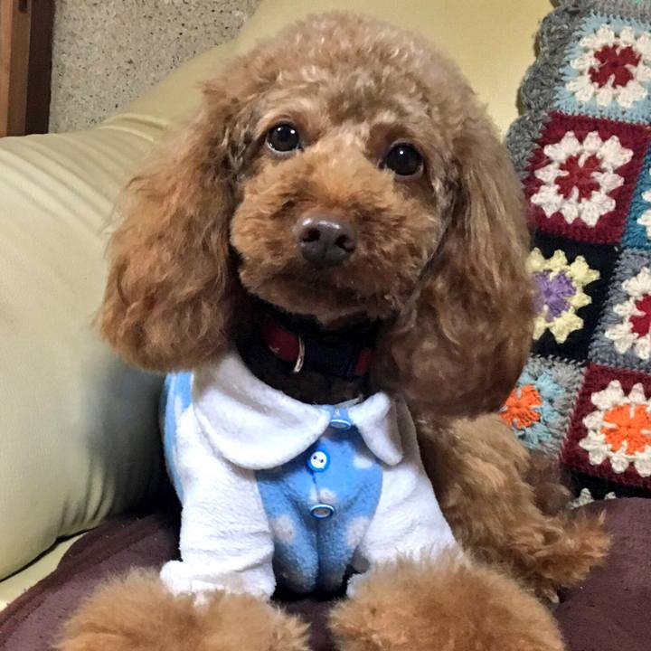 47c7c75c e601 47bd bc6a 2ff3d2d9015a