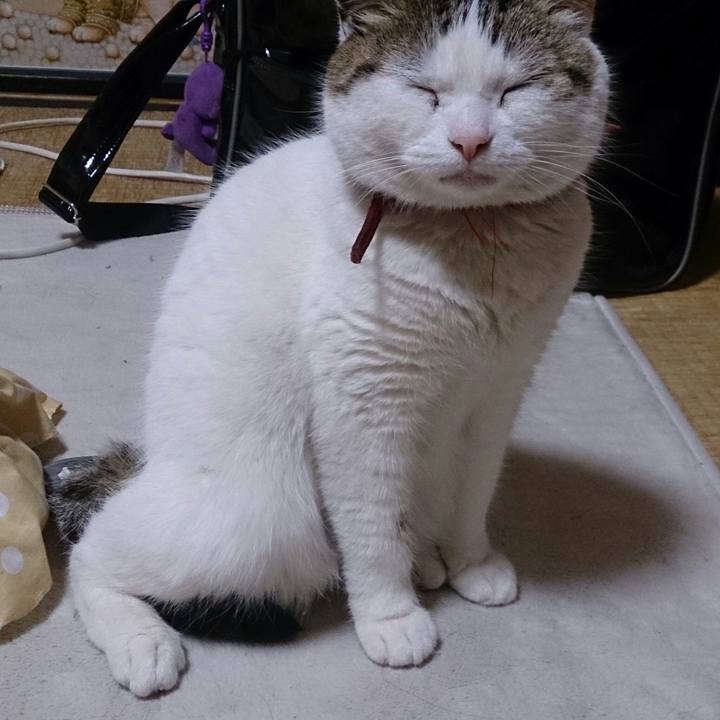 47c828c0 b1f1 4ba5 8596 144ed634d424