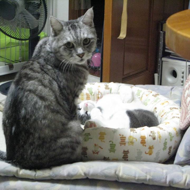 47c86228 a177 44f4 8b7f 94dd7d31fd7e