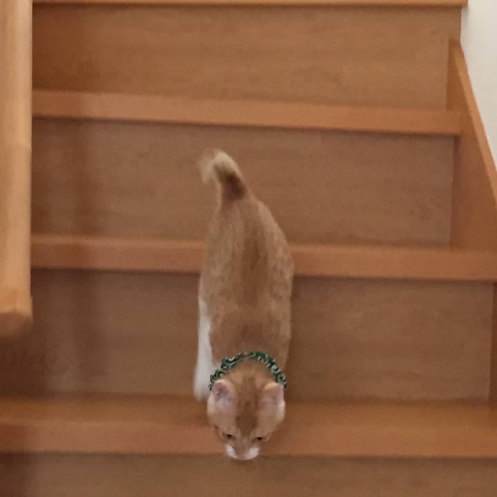 47c8a495 2a40 40af a84e 4d83ea2f7438