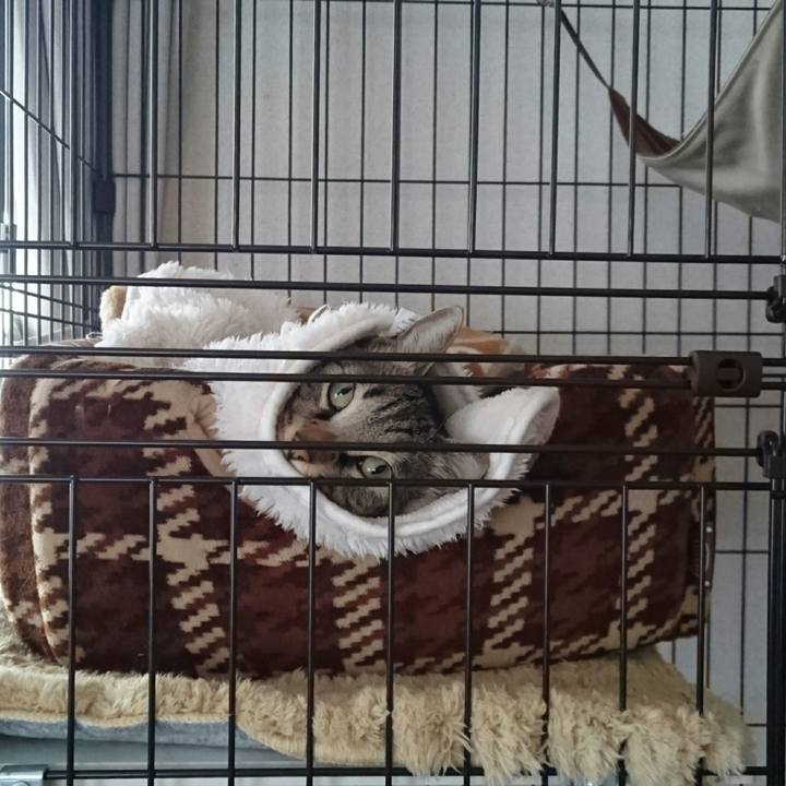 47c8ac1a 6383 409f ad51 4dbc82b9a0bb