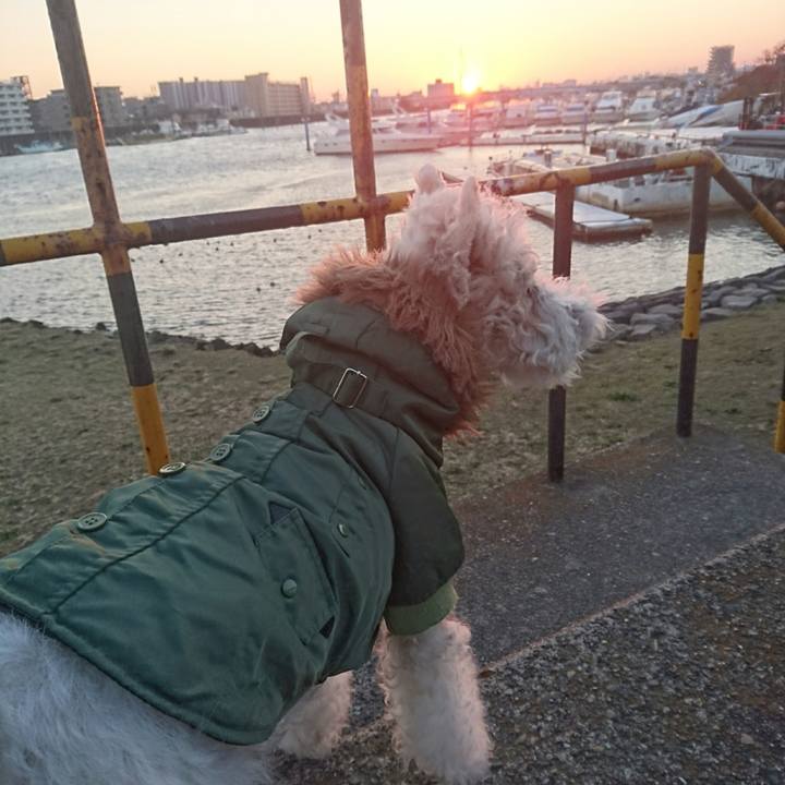 47c96ea1 a0af 41ab 9073 7f16fe5601cf