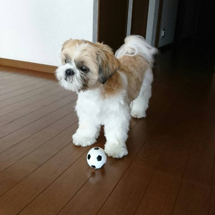 47cb7734 615b 4b22 b54f f2314143350a