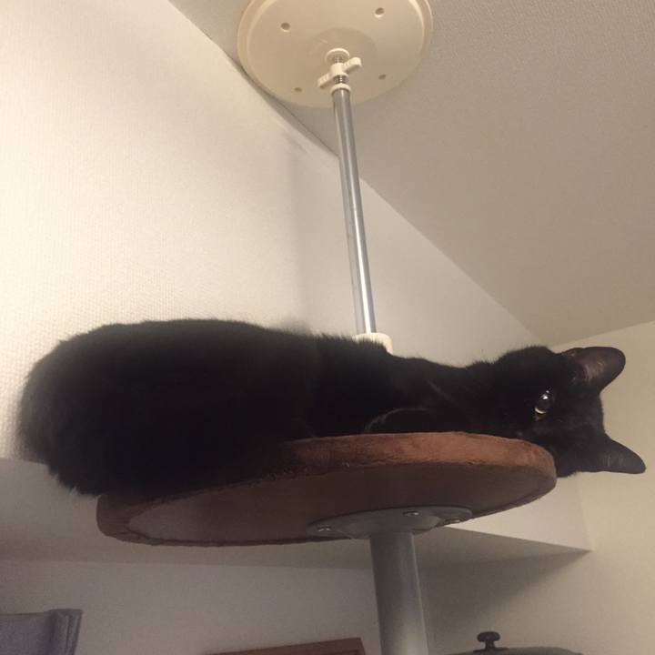 47cbc527 192b 49a6 9956 81b9e4610c2a