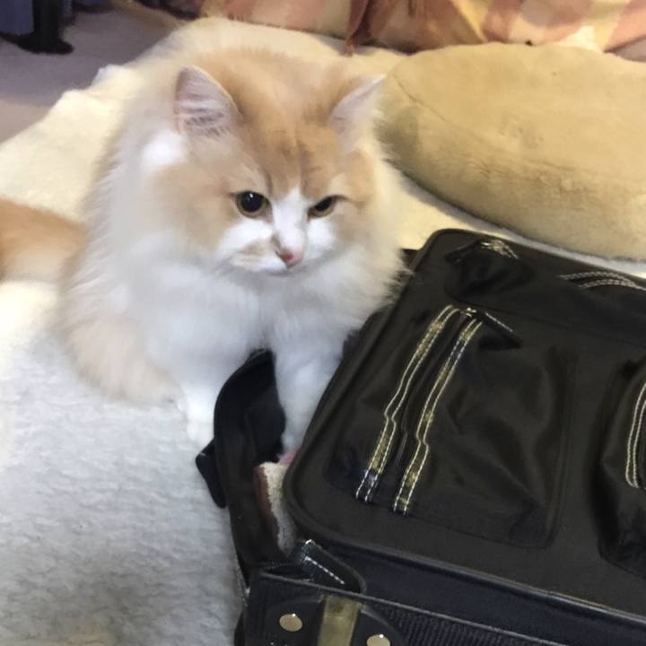 47cc616f d6f9 49d0 a1d3 d75a71d0d8c8