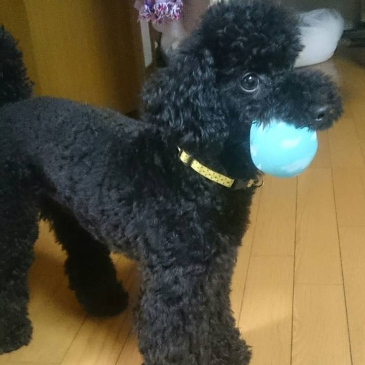 47cd022f 98c1 4b66 a6f6 38a9c8c9a477