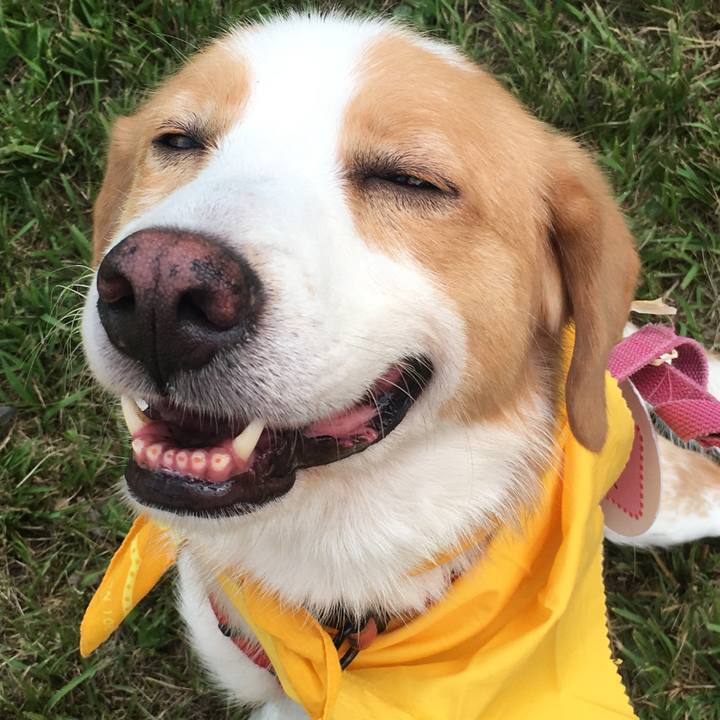 47cd0ae8 2865 45ee bb19 d9f78caaaff5