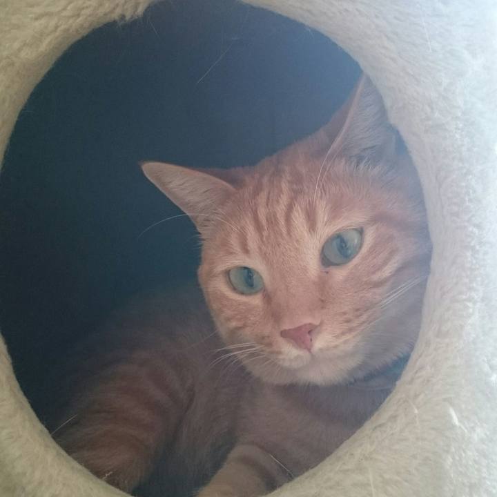 47cd6c70 3ad1 4a3e 8963 8e2a730cc398