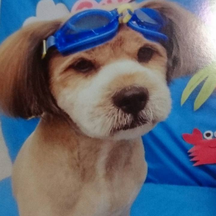 47cf2244 c11b 4a32 8441 0ff8839cfb30